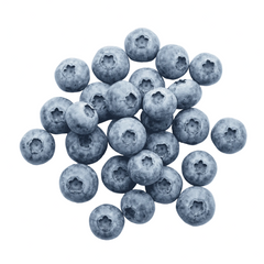 Resveratrol