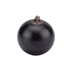 Grosella negra