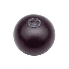 Baya de aronia