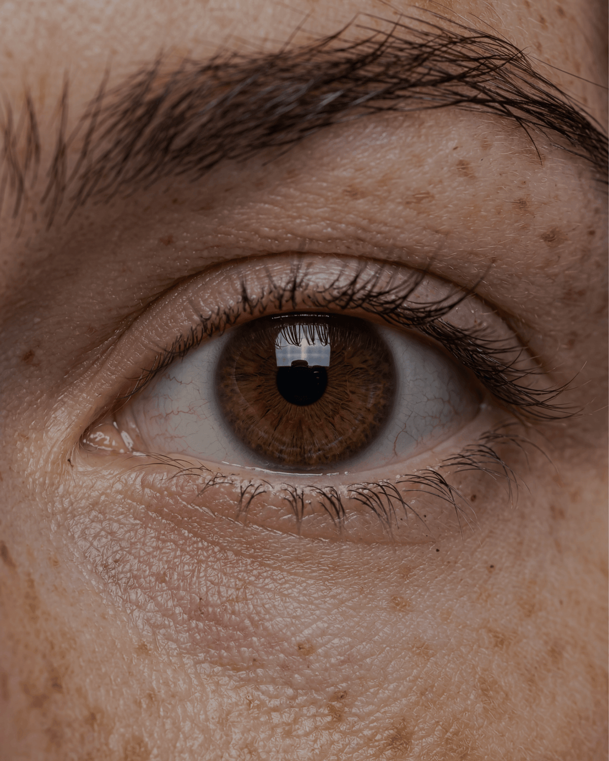 Optimización Humana.